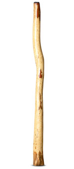 Jesse Lethbridge Didgeridoo (JL169)